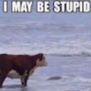 Meet your Posher, Albert